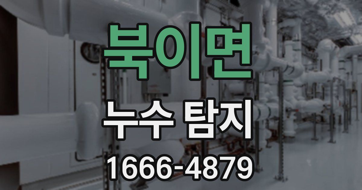 북이면 누수 탐지