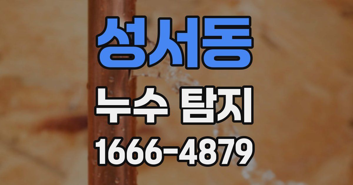 성서동 누수 탐지