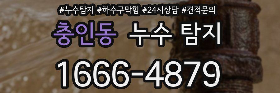 충인동 누수 탐지