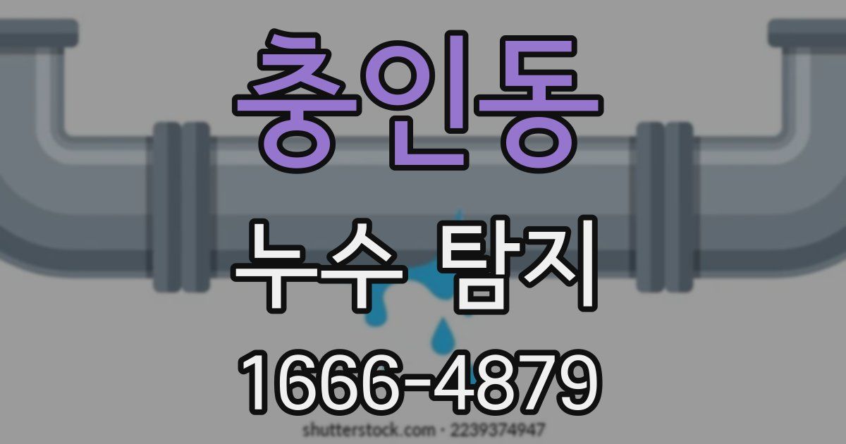 충인동 누수 탐지