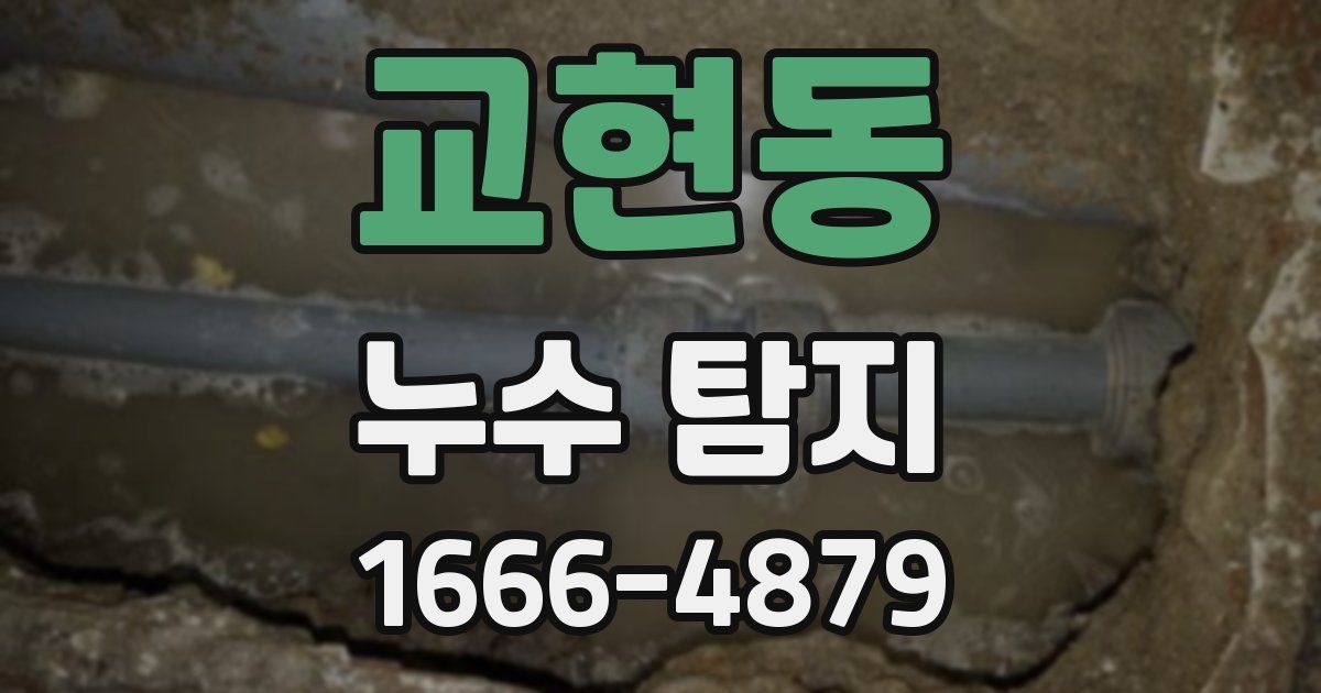 교현동 누수 탐지