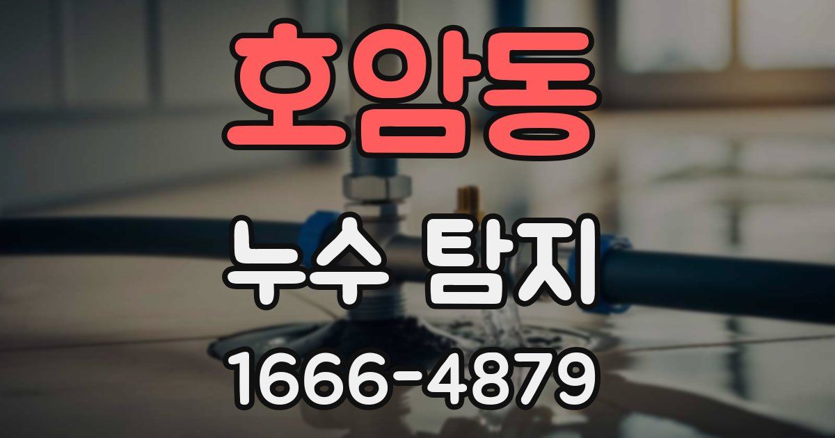 호암동 누수 탐지