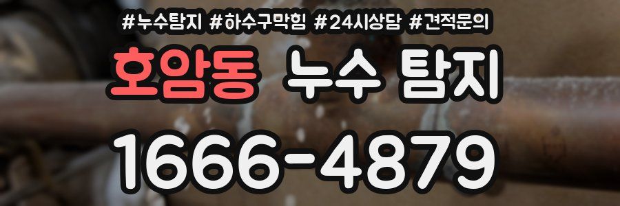 호암동 누수 탐지