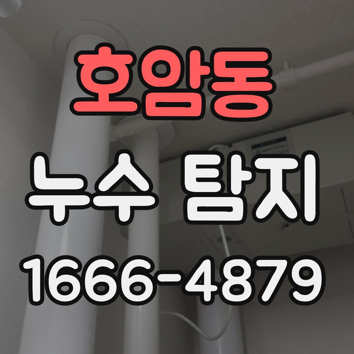 호암동 누수 탐지