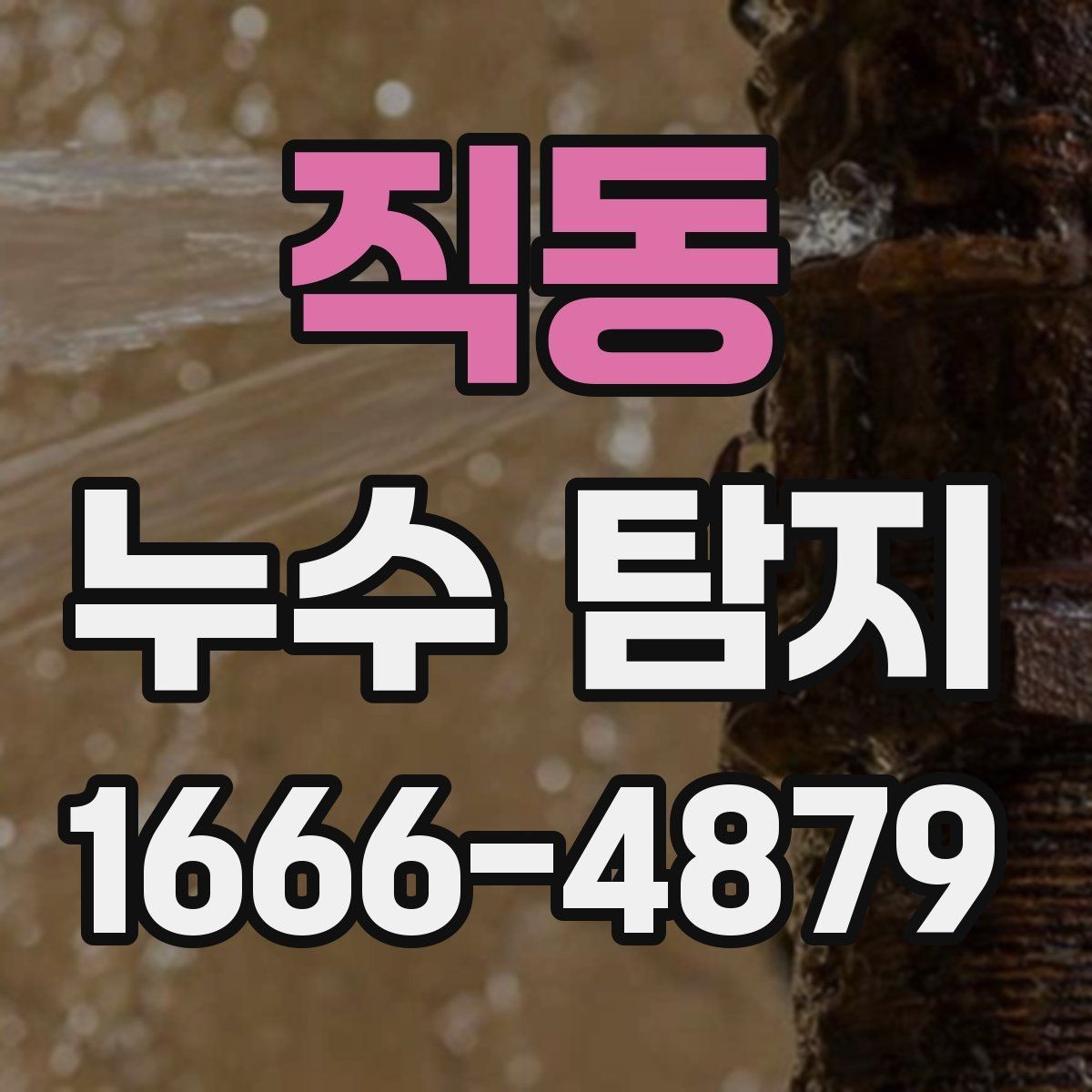 직동 누수 탐지 과정이 어떻게 진행되는지
