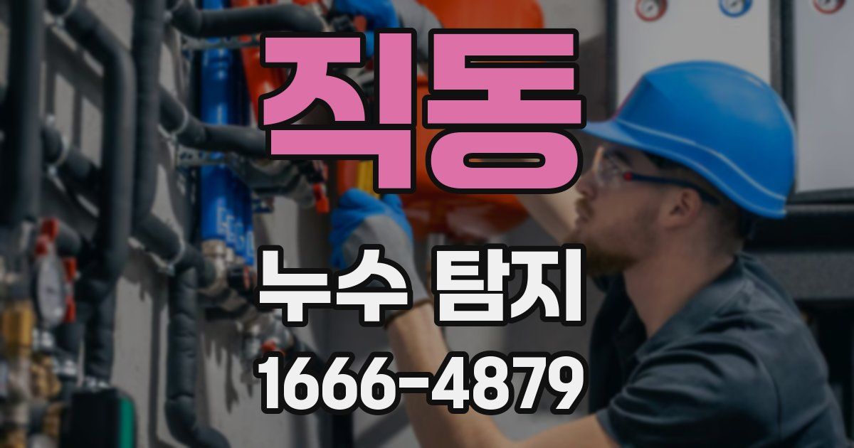 직동 누수 탐지