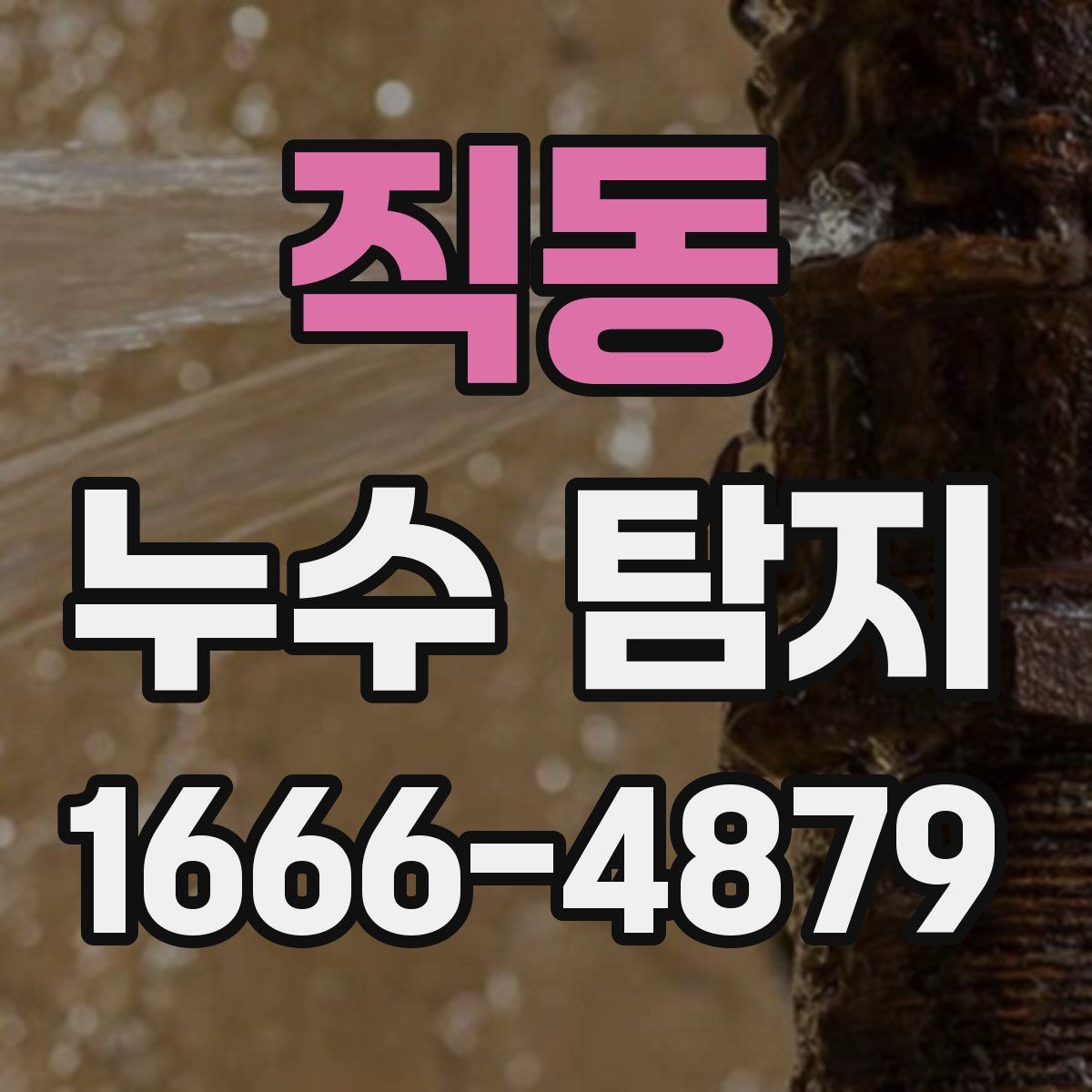직동 누수 탐지