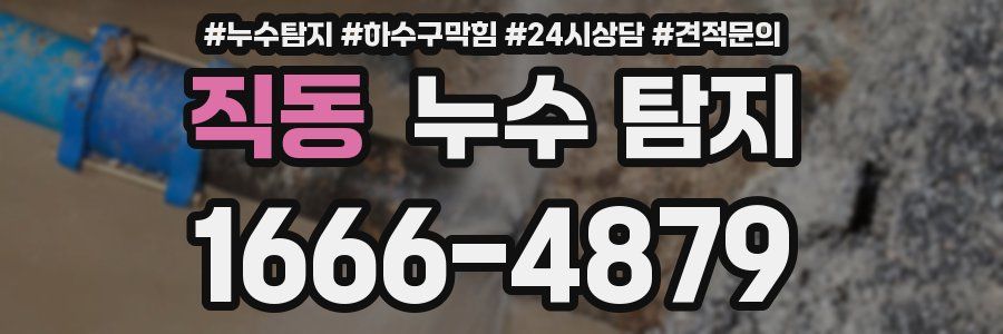 직동 누수 탐지