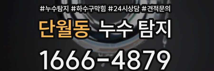 단월동 누수 탐지