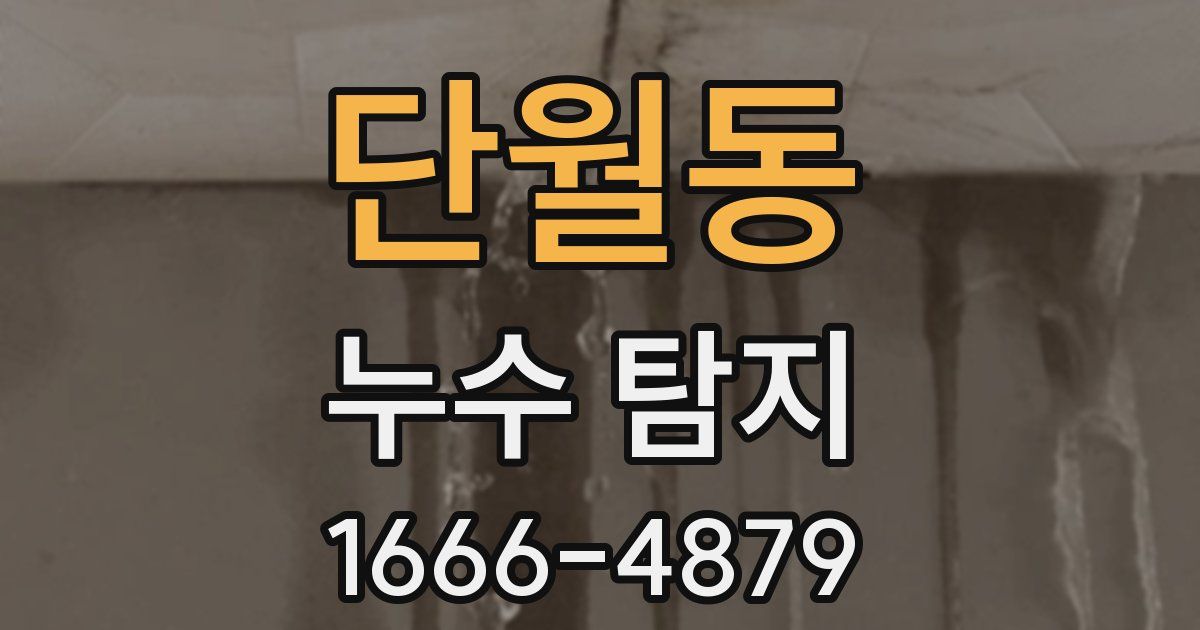 단월동 누수 탐지