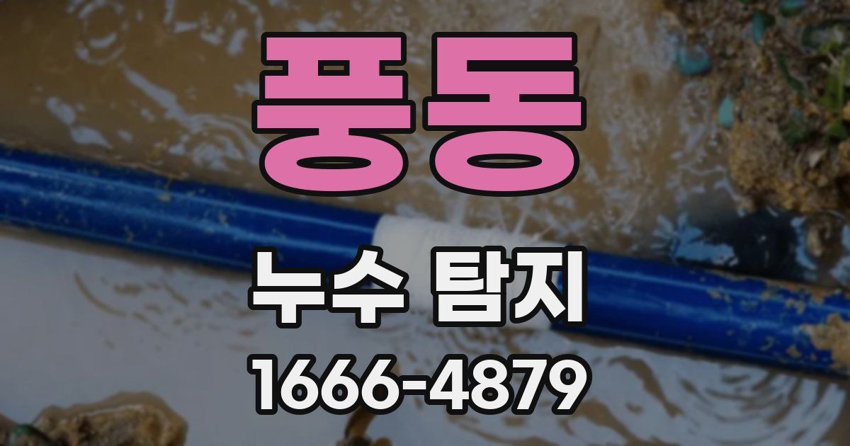 풍동 누수 탐지