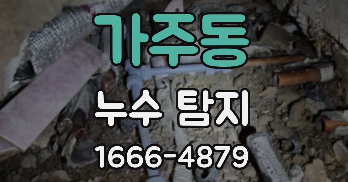 가주동 누수 탐지