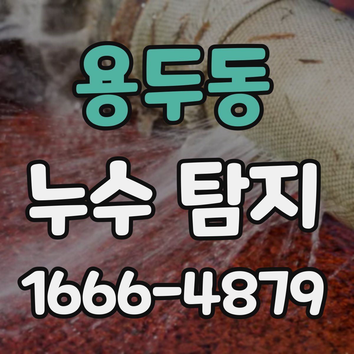 용두동 누수 탐지