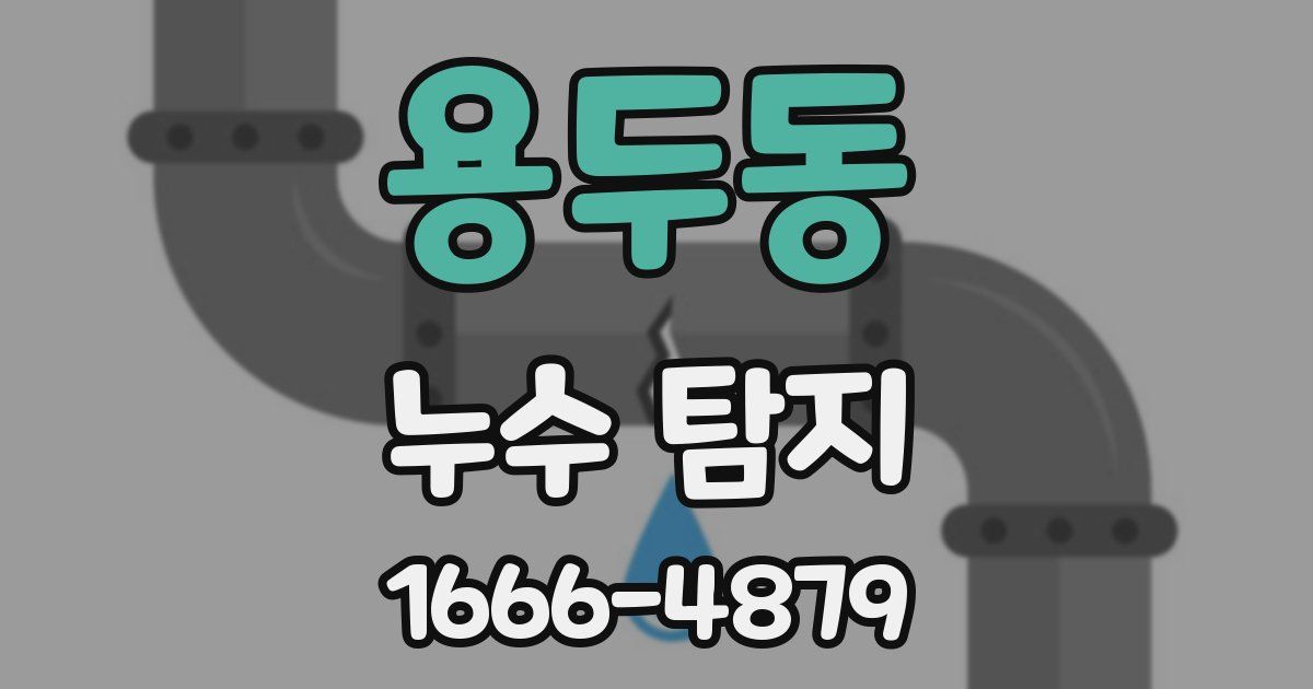 용두동 누수 탐지