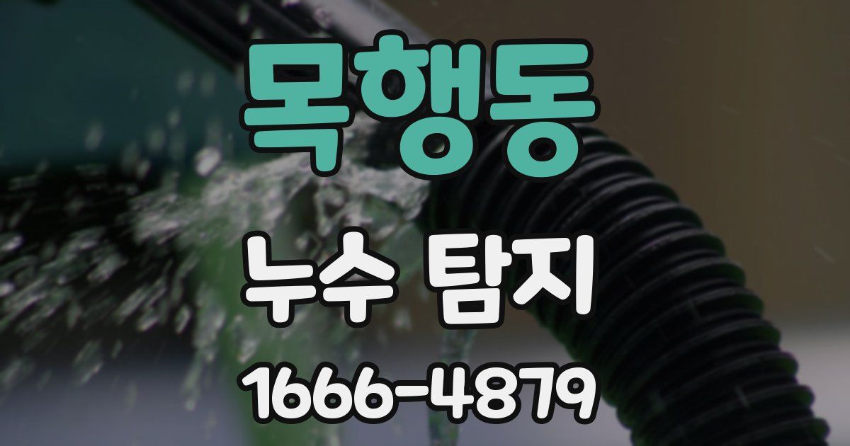 목행동 누수 탐지