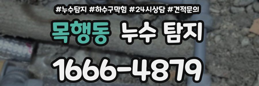 목행동 누수 탐지