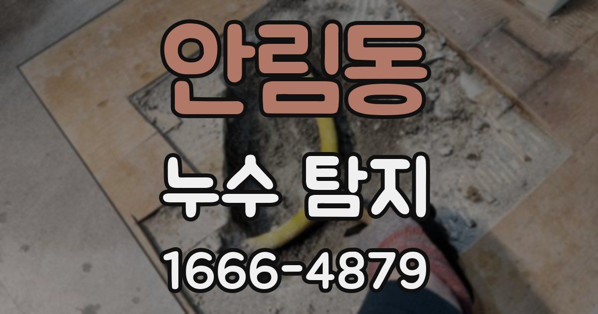 안림동 누수 탐지