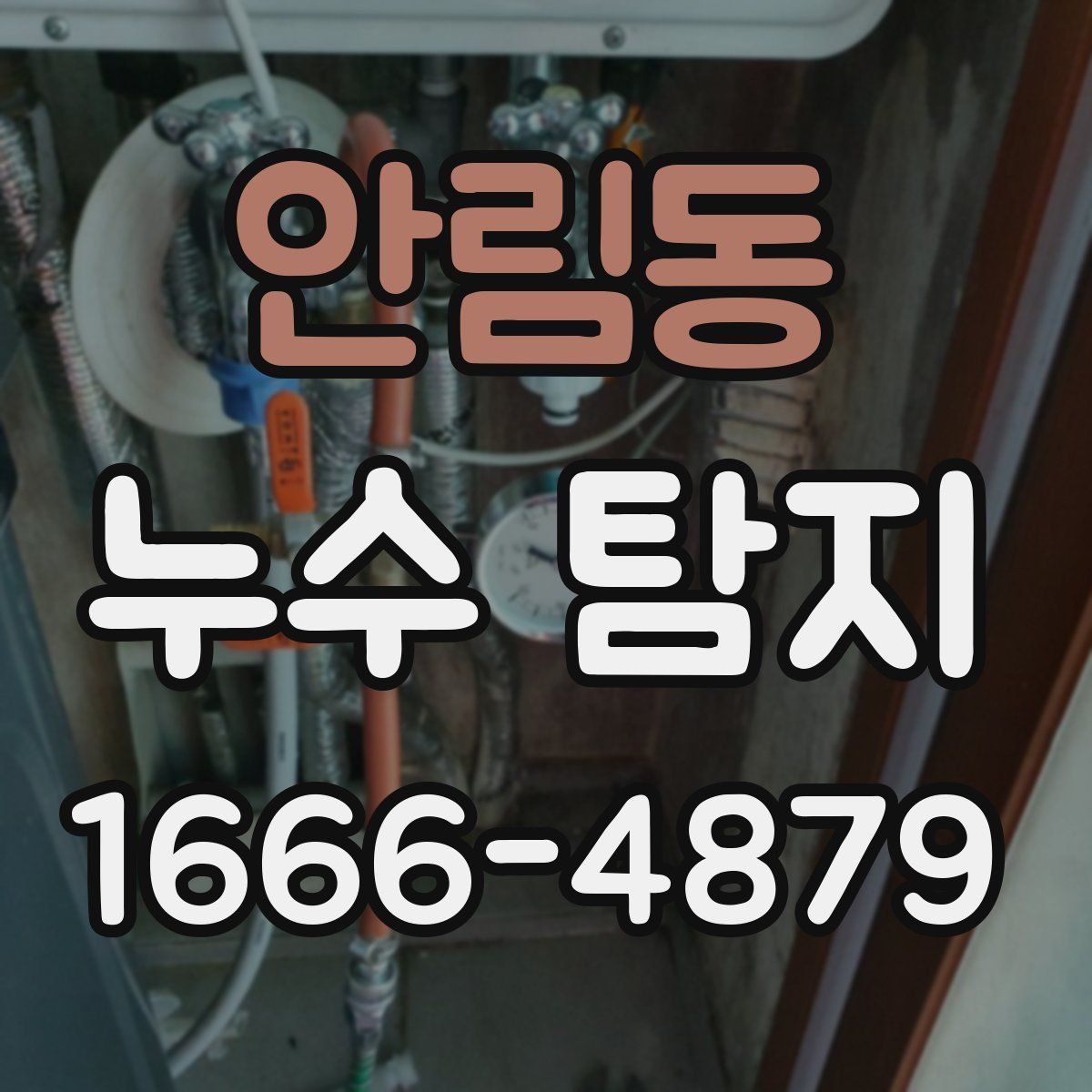 안림동 누수 탐지