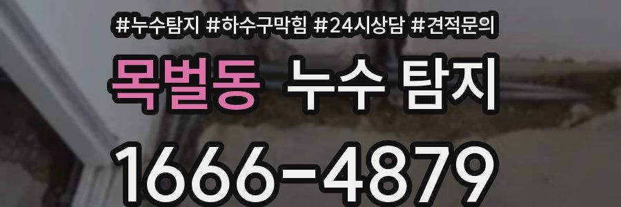 목벌동 누수 탐지