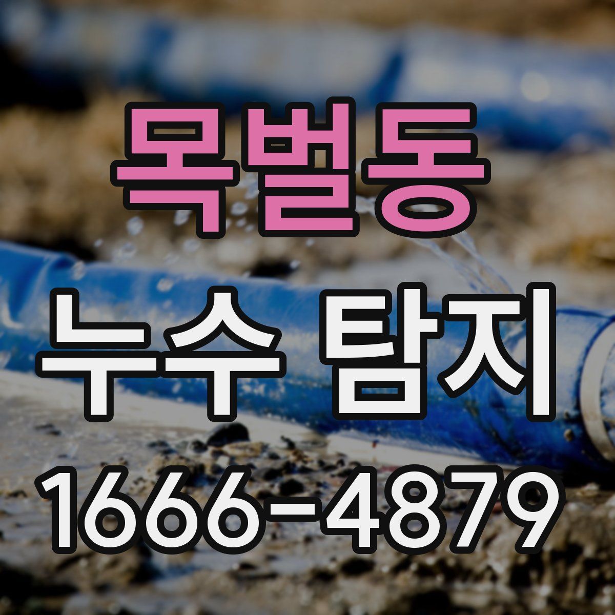 목벌동 누수 탐지