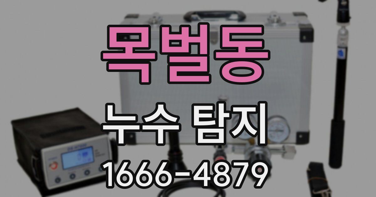목벌동 누수 탐지