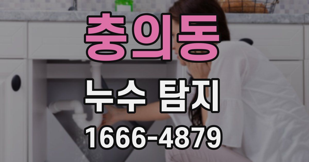 충의동 누수 탐지