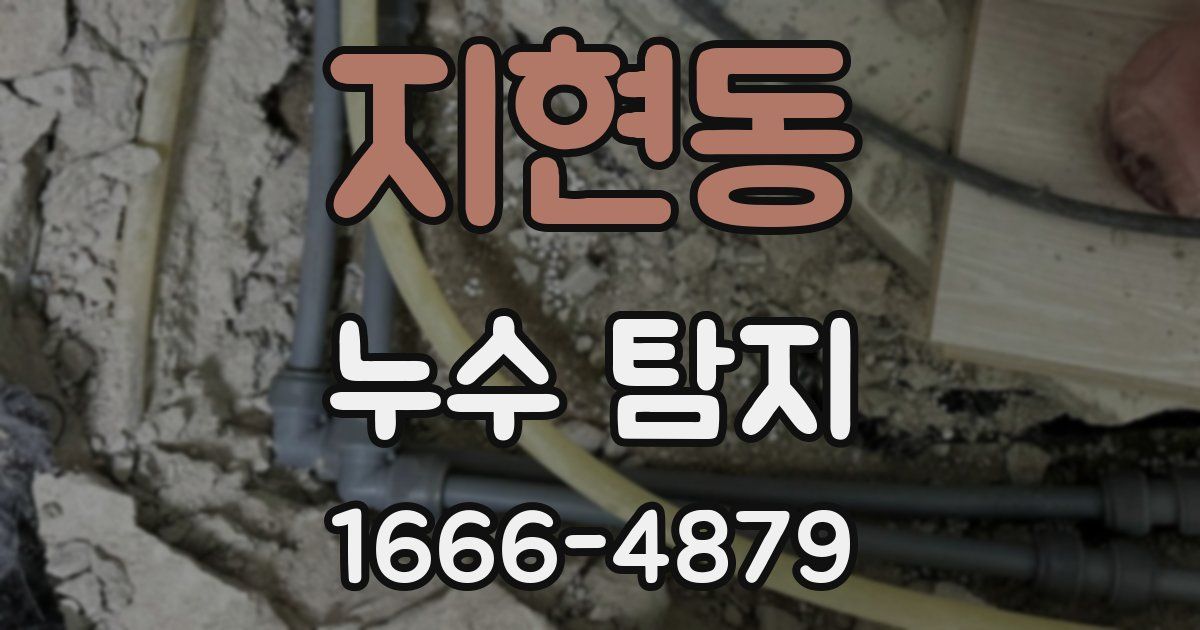 지현동 누수 탐지