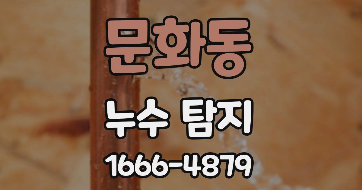문화동 누수 탐지