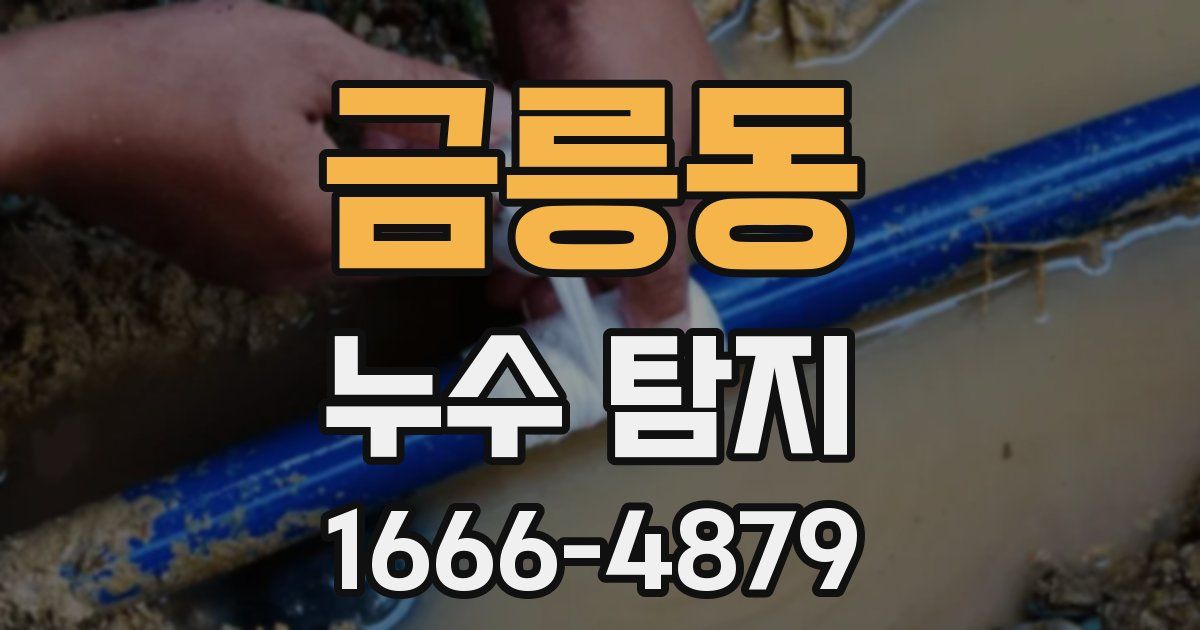 금릉동 누수 탐지