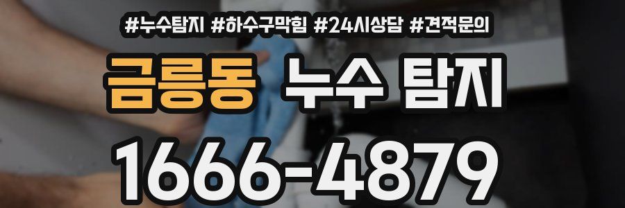 금릉동 누수 탐지
