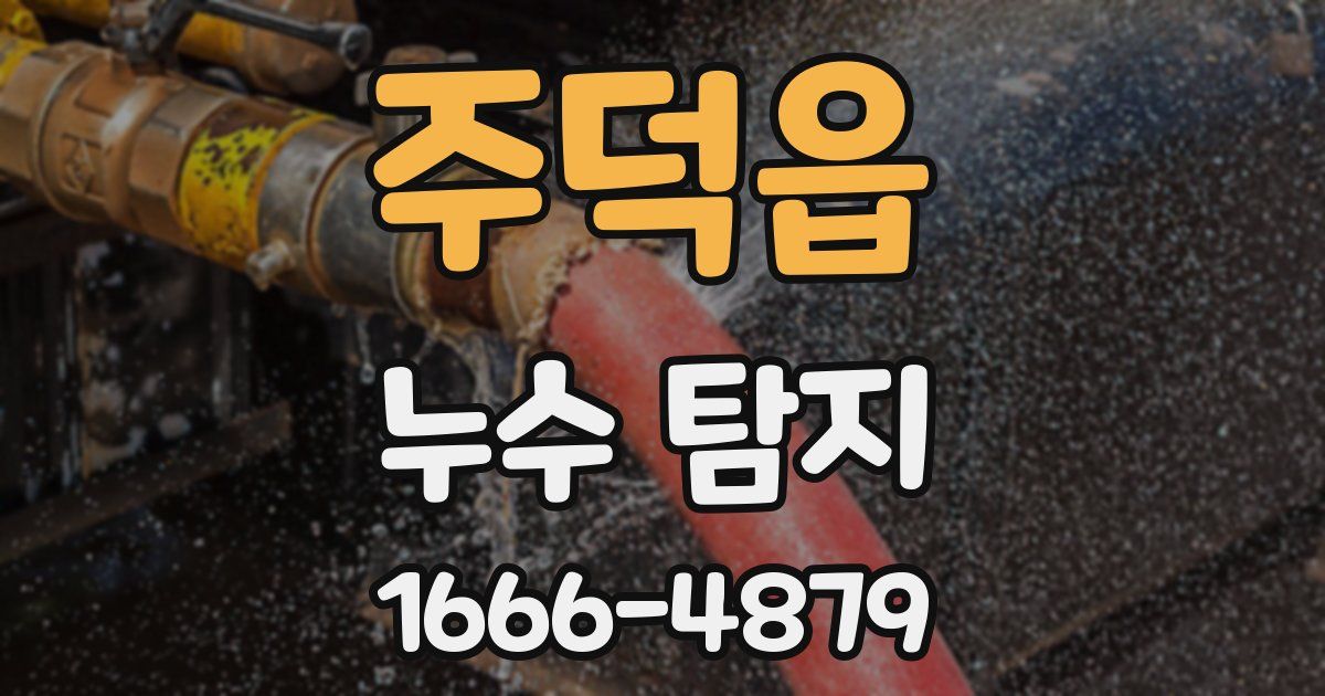 주덕읍 누수 탐지