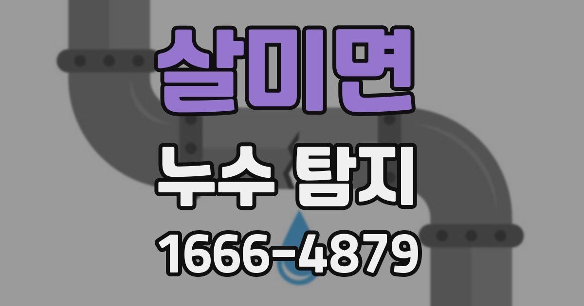 살미면 누수 탐지