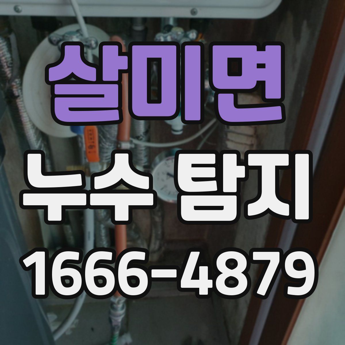 살미면 누수 탐지