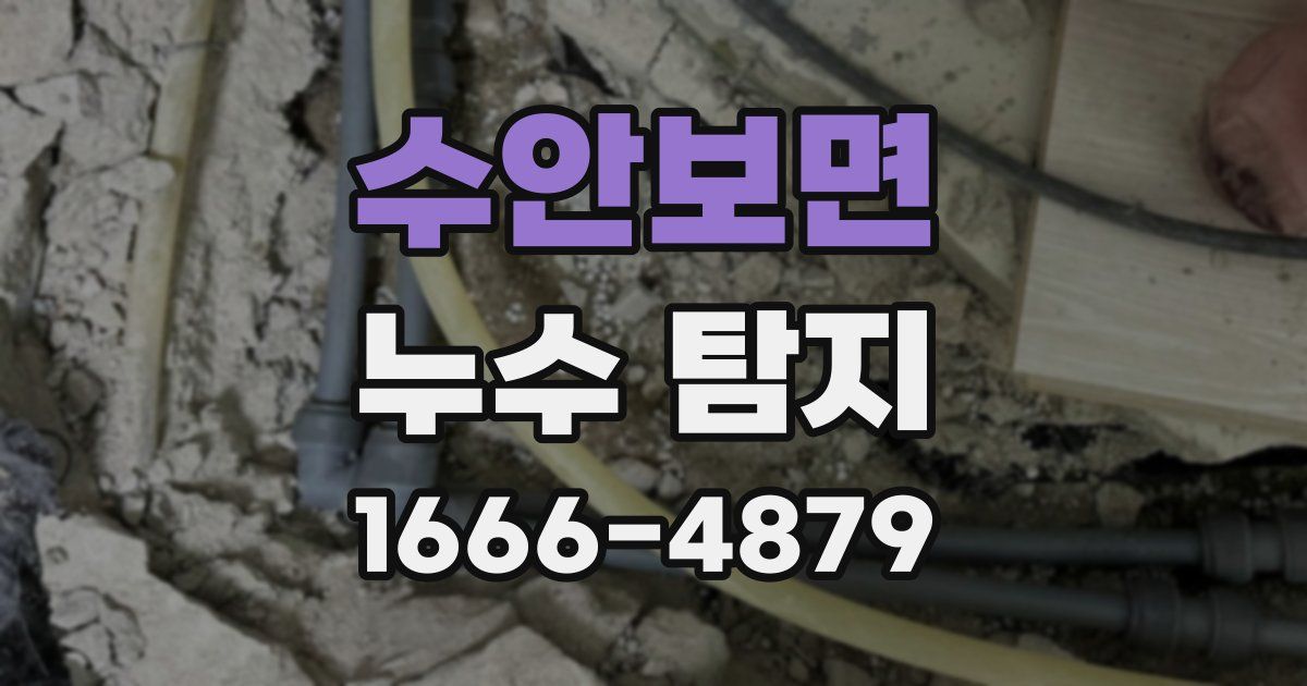 수안보면 누수 탐지