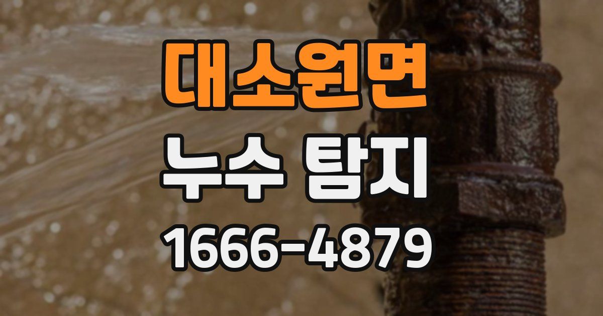 대소원면 누수 탐지