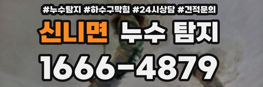 신니면 누수 탐지