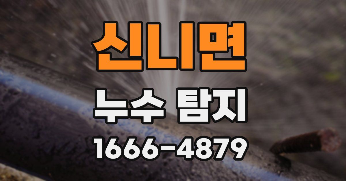 신니면 누수 탐지