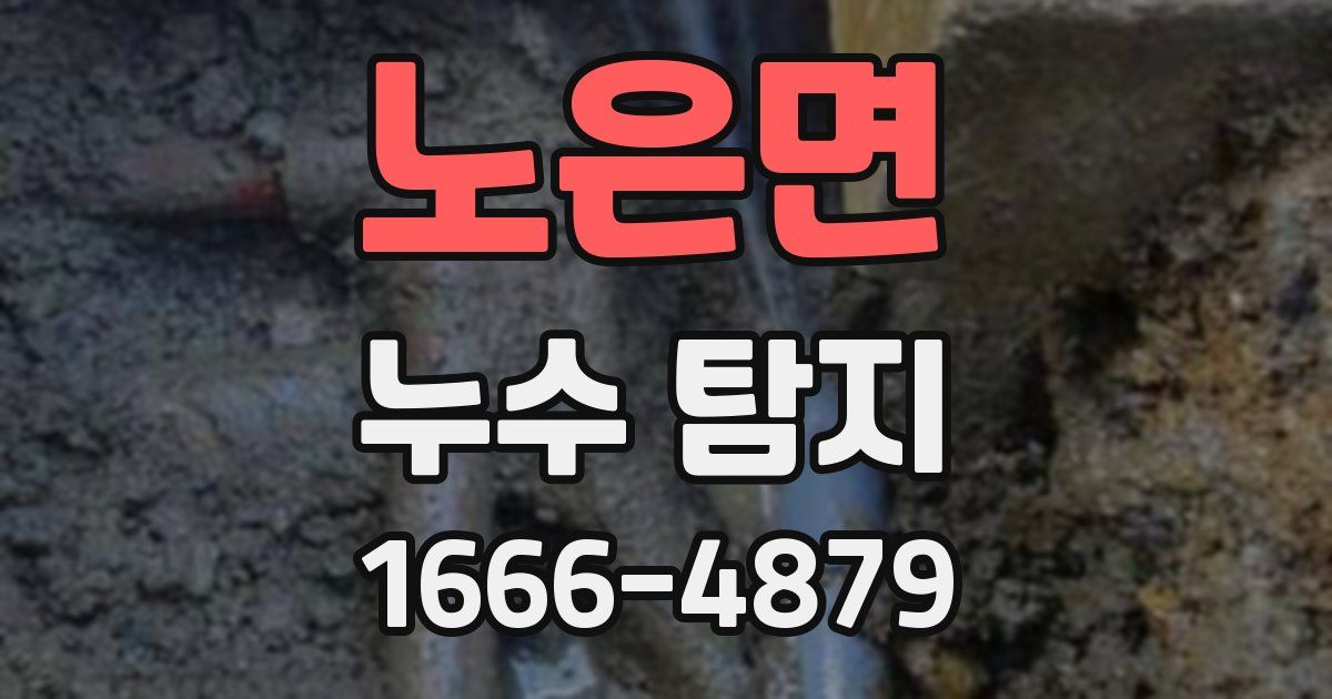 노은면 누수 탐지