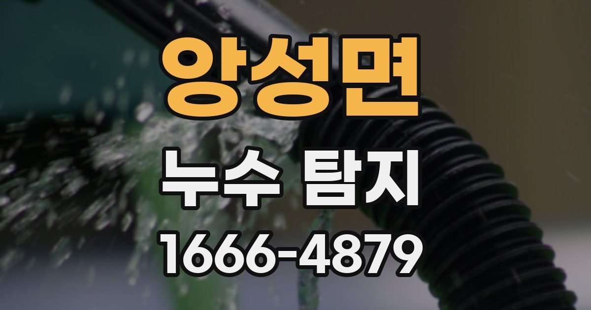 앙성면 누수 탐지