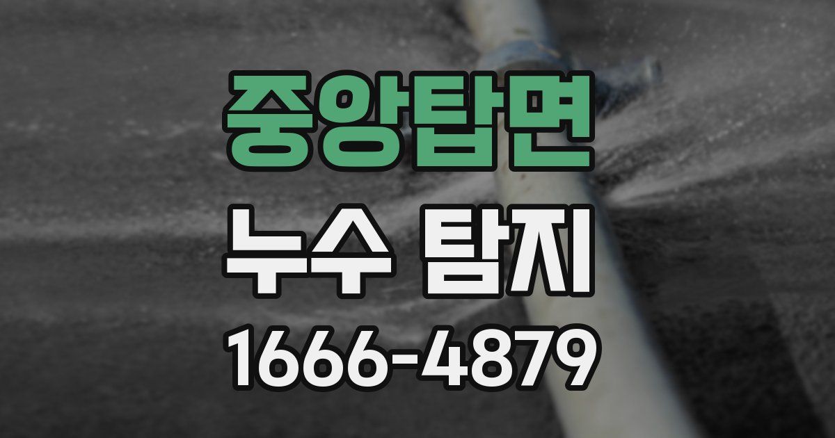 중앙탑면 누수 탐지