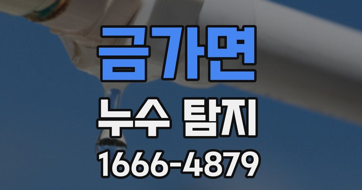 금가면 누수 탐지