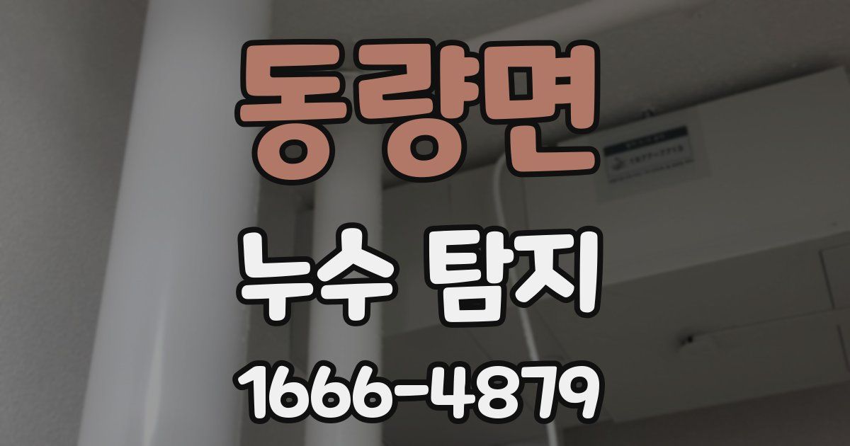 동량면 누수 탐지