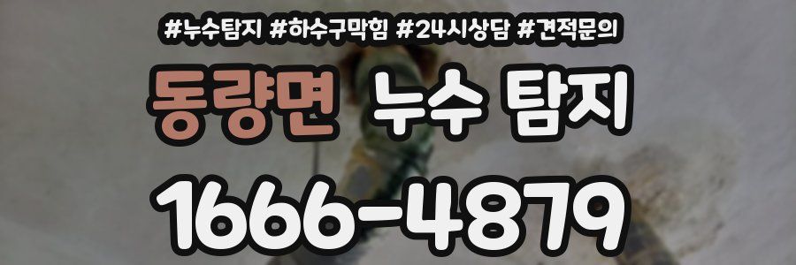 동량면 누수 탐지