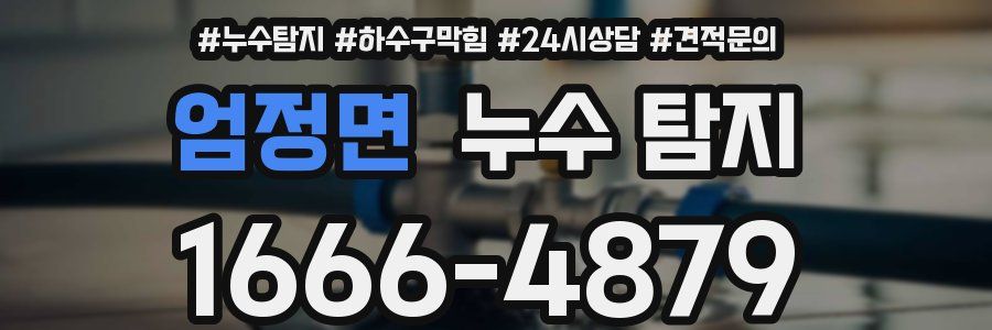 엄정면 누수 탐지