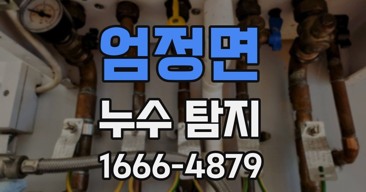 엄정면 누수 탐지