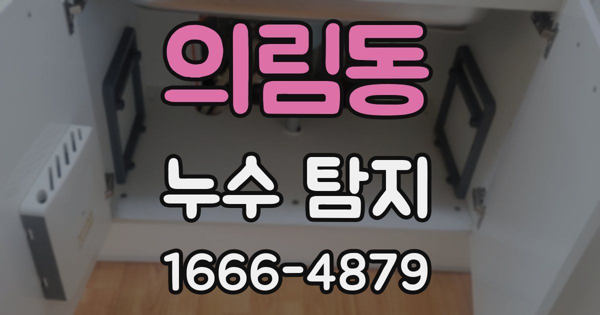 의림동 누수 탐지