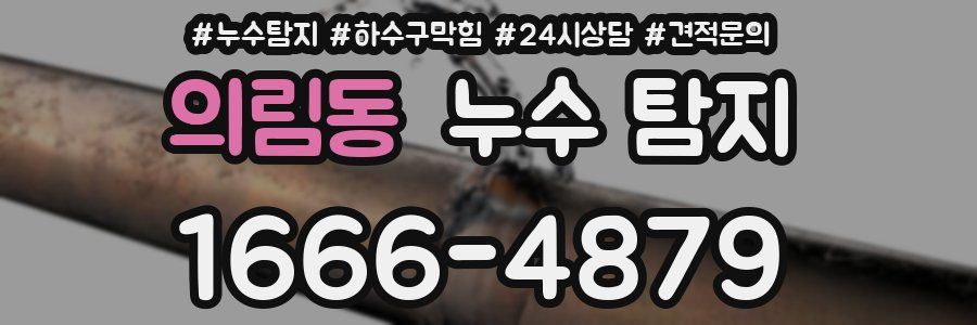 의림동 누수 탐지