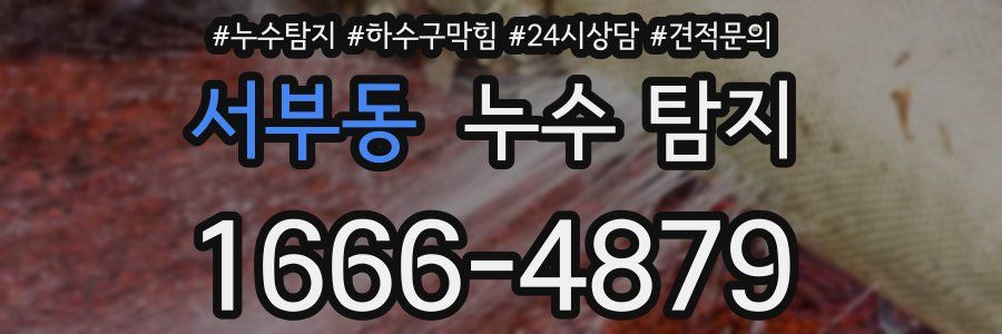 서부동 누수 탐지