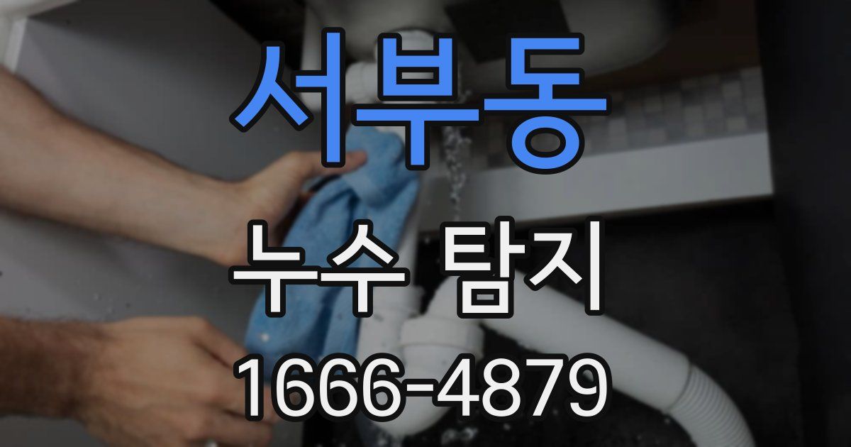서부동 누수 탐지