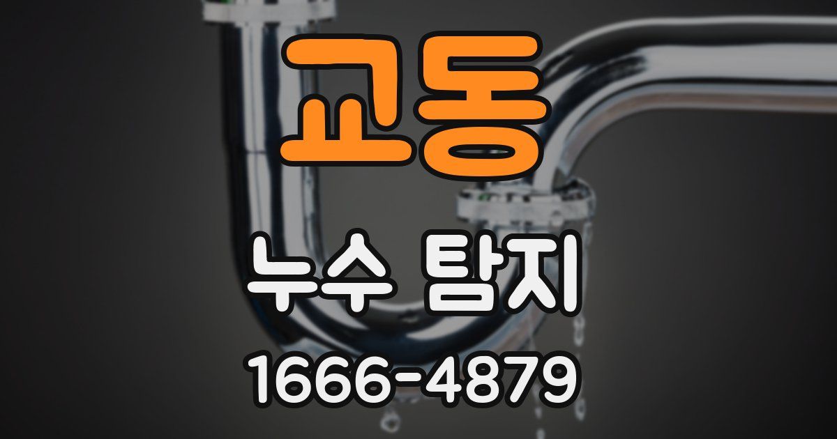 교동 누수 탐지